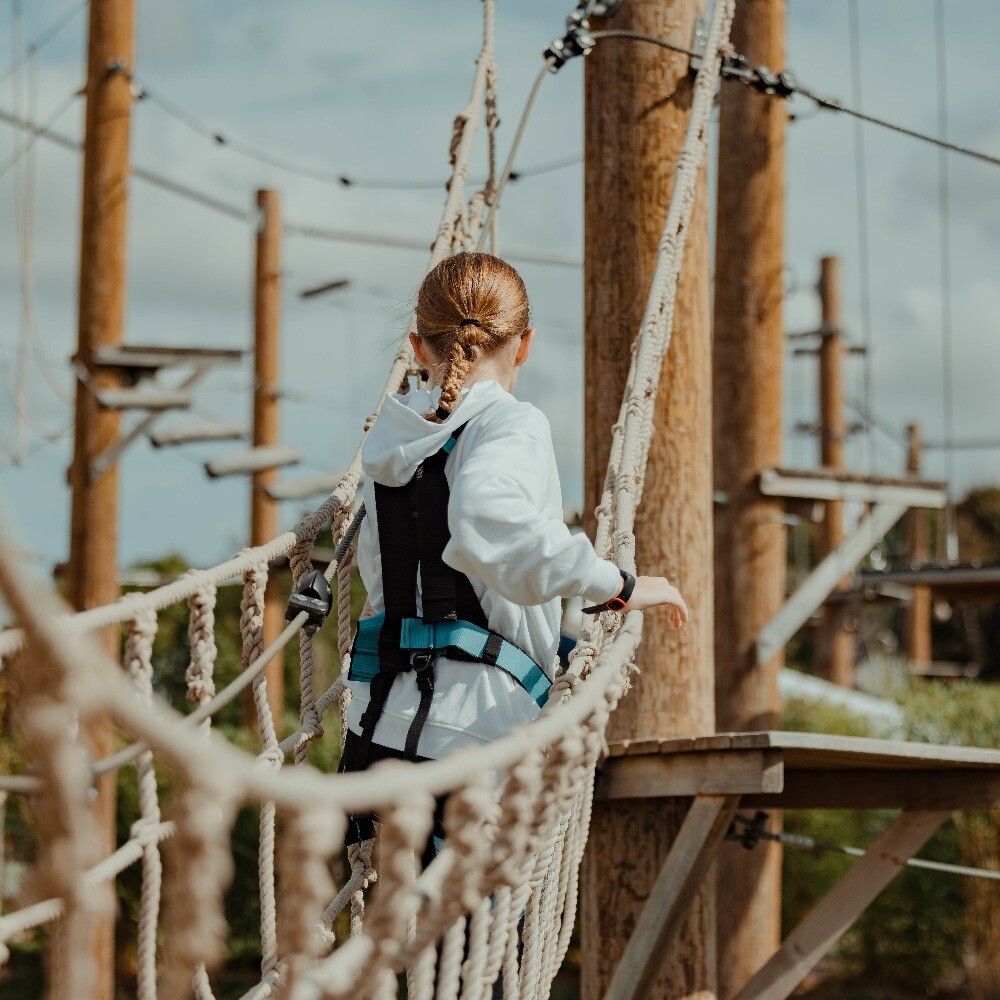 Half-Term Adventures at The Lost Valley – Roars, Ropes & Rounds of Fun!