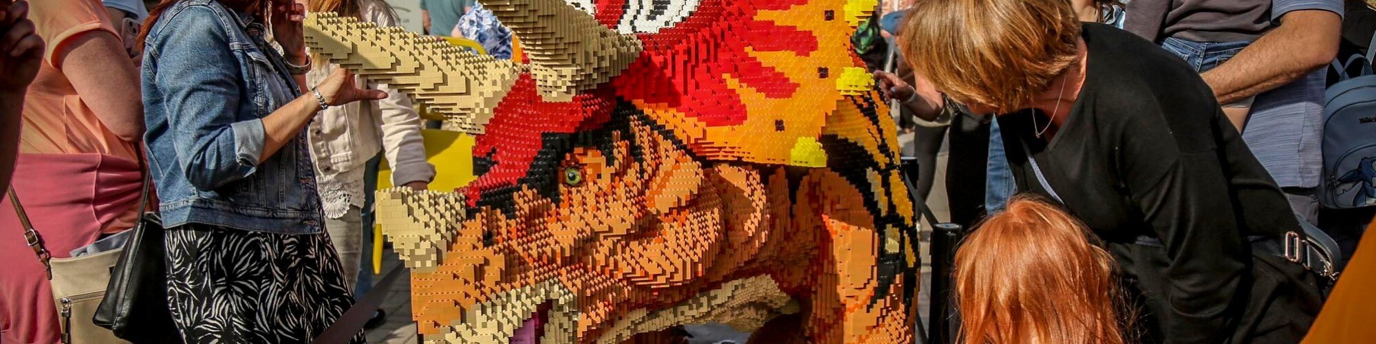 Dinosaur Brick Trail Extended at The Valley Evesham | Aztec Adventure The Lost Valley